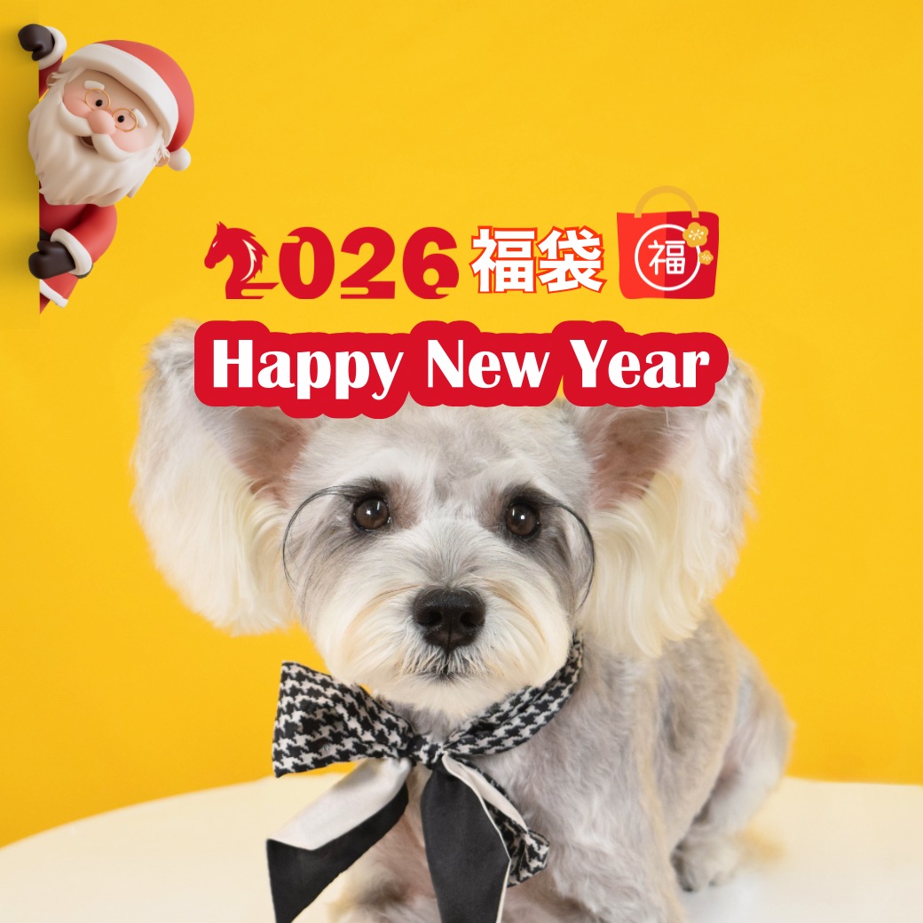 【福袋】人気のおやつとレトルトお楽しみセット2026