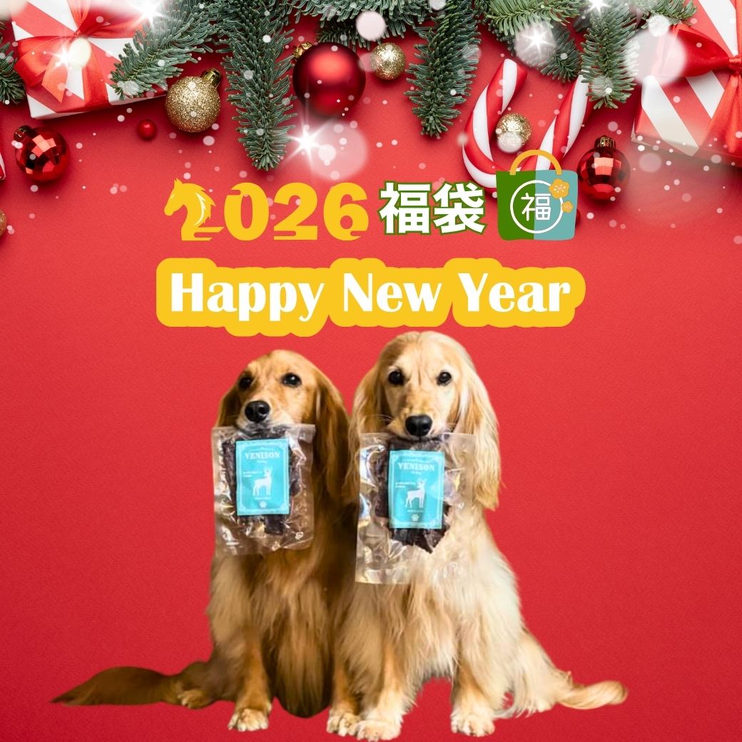 【福袋】人気のおやつとレトルトのお楽しみセット2026