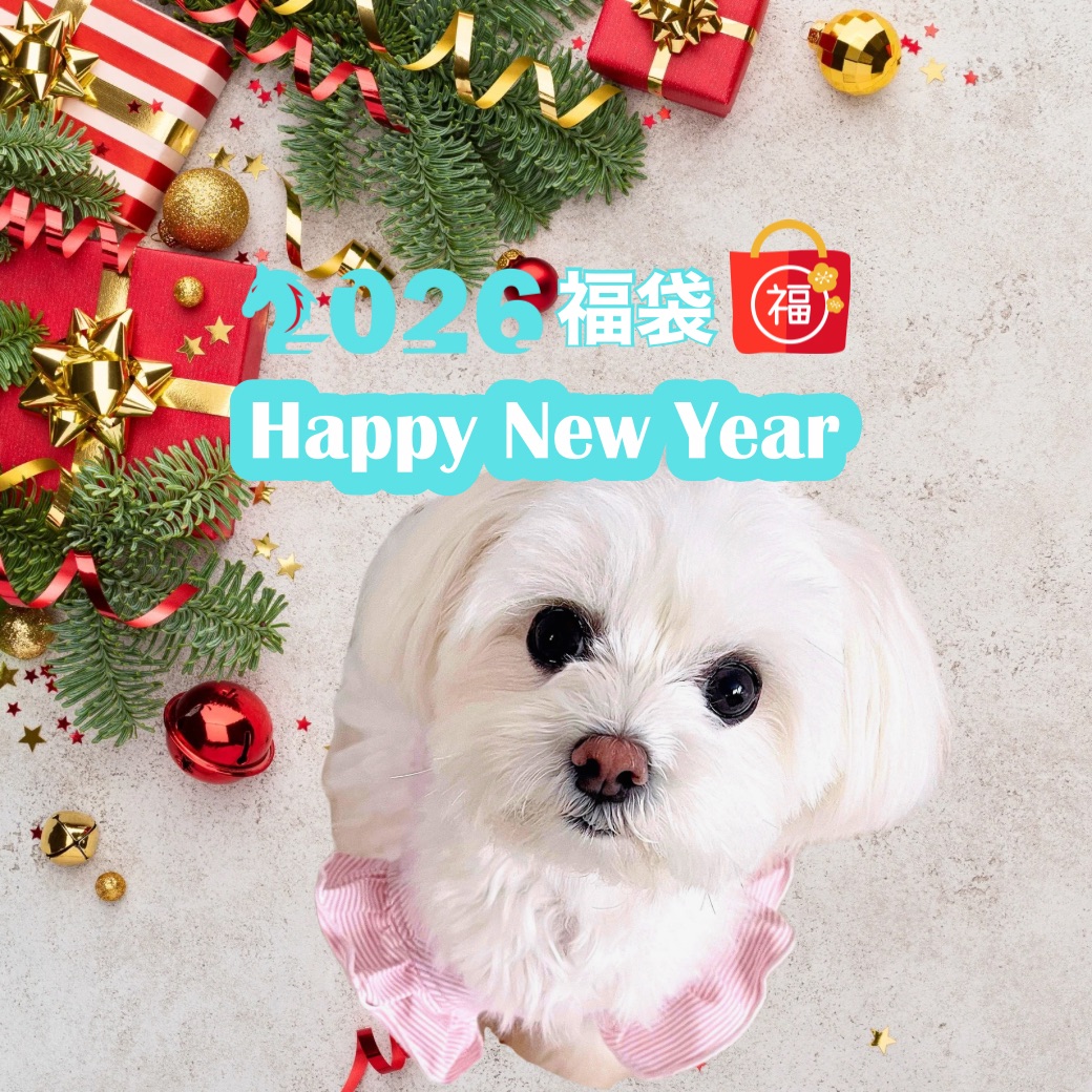 【福袋】人気のおやつとレトルトのお楽しみセット2026